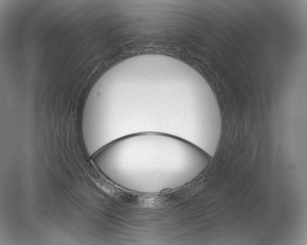 X0000078850564200612111624