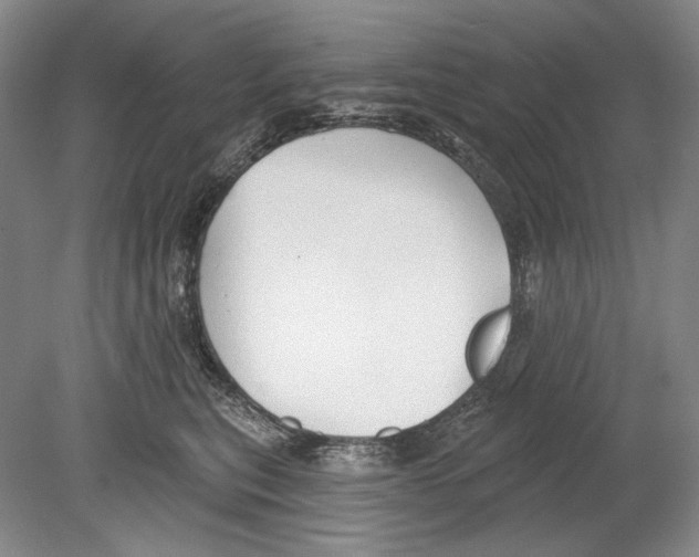 X0000078850567200612111624