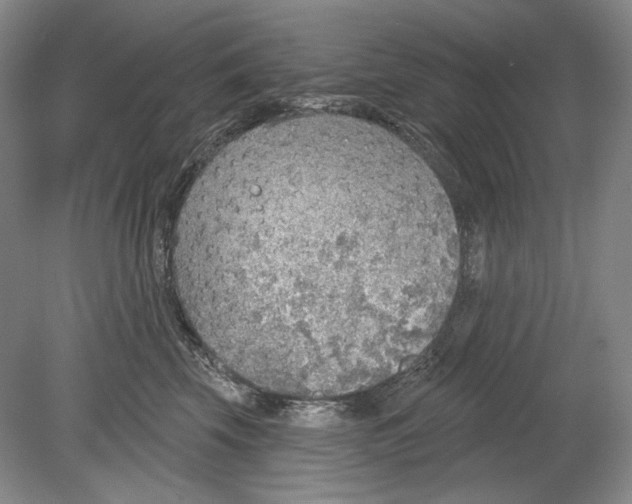 X0000078850569200612111624
