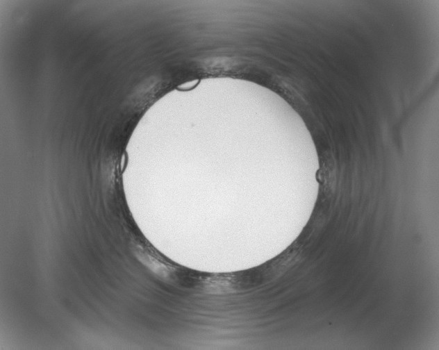 X0000078850574200612111625