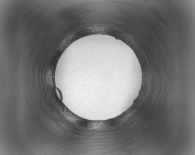 X0000078850575200612111625