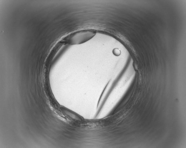 X0000078850580200612111624
