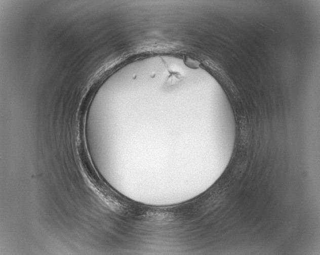 X0000078850582200612111624