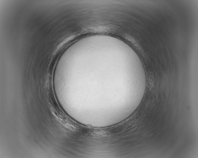 X0000078850583200612111624