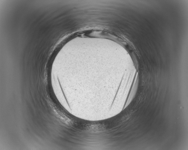 X0000078850584200612111624