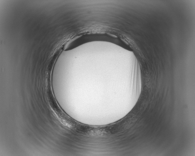 X0000078850586200612111624