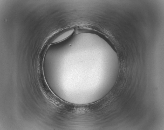 X0000078850587200612111624