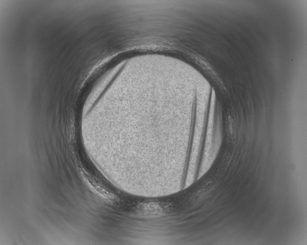 X0000078850588200612111624