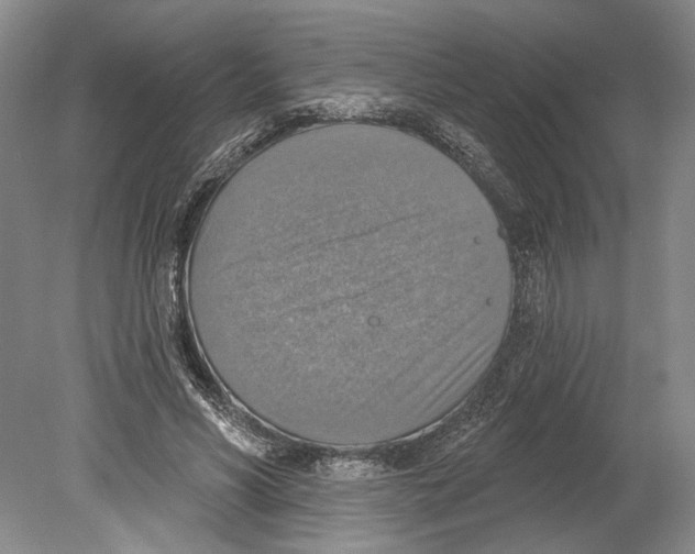 X0000078850590200612111624