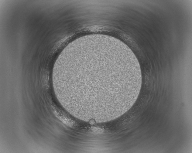 X0000078850592200612111623