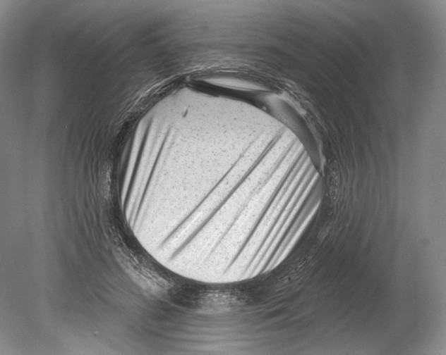 X0000078850596200612111623