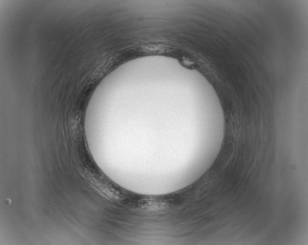 X0000078850601200612111623