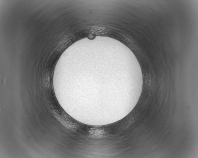 X0000078850602200612111623
