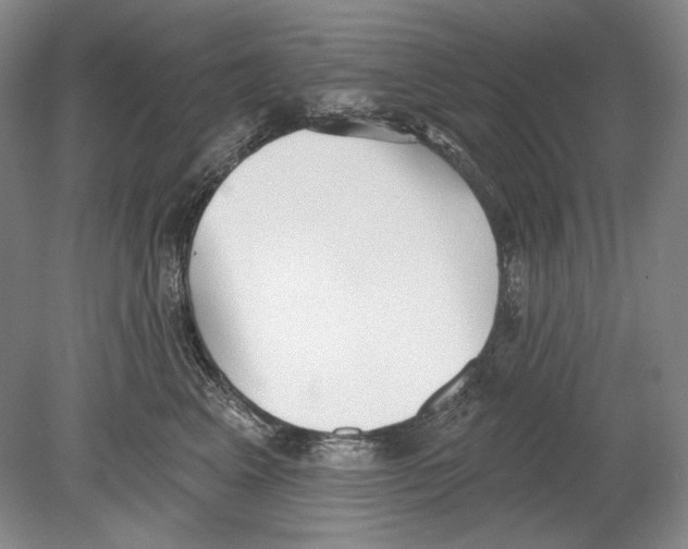 X0000078850617200612111623