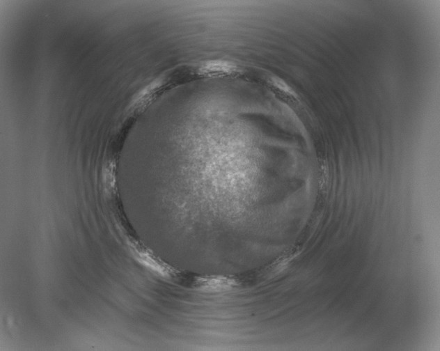 X0000078850621200612111623