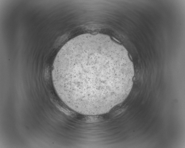 X0000078850623200612111623