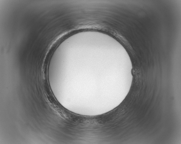 X0000078850628200612111622
