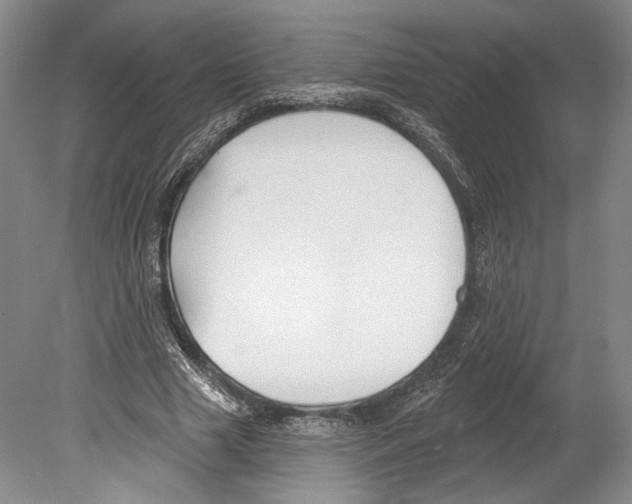 X0000078850633200612111622
