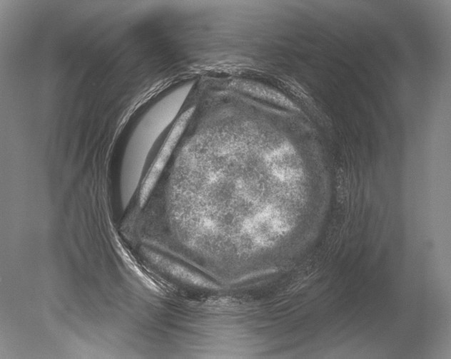 X0000078850634200612111622