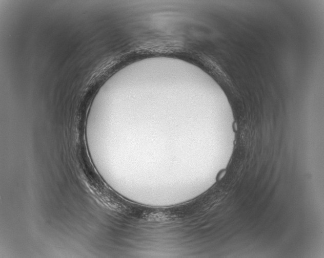 X0000078850635200612111622