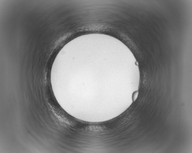 X0000078850636200612111622