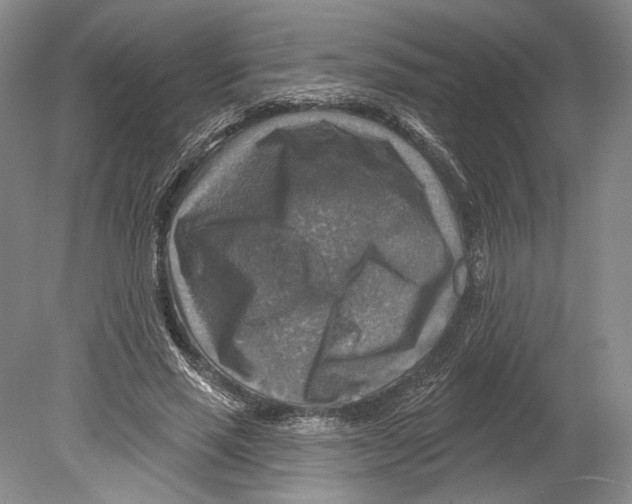 X0000078850637200612111622