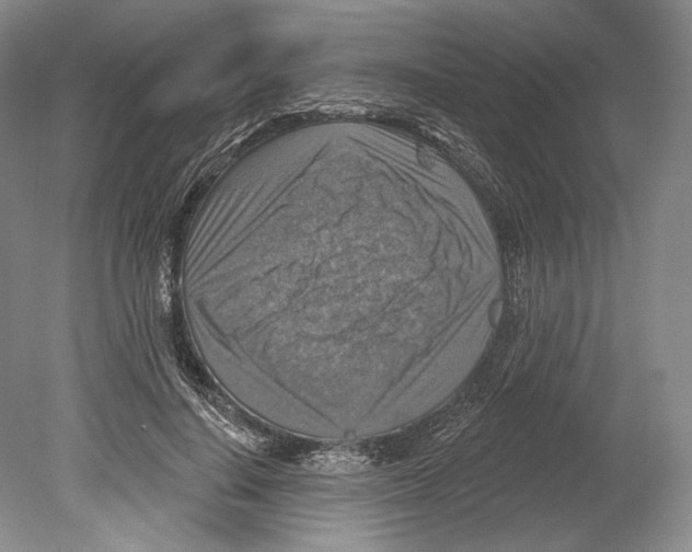 X0000078850644200612111622