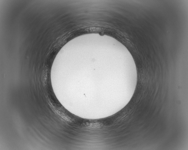 X0000078850645200612111622