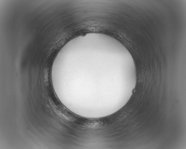 X0000078850646200612111622