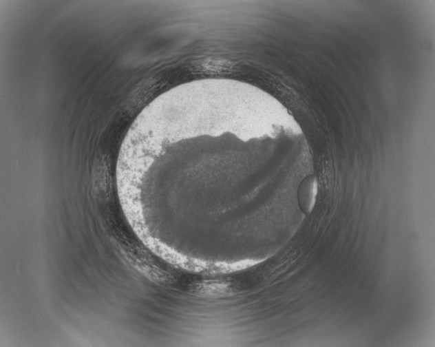 X0000078850651200612111623