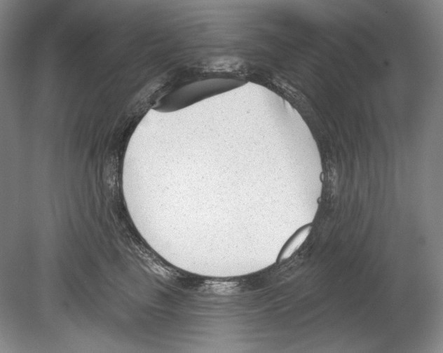 X0000078850665200612111623
