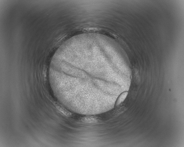 X0000078850668200612111623