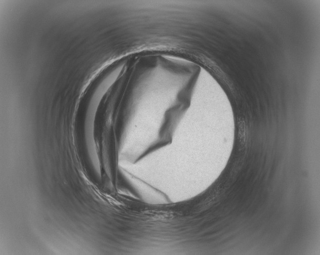 X0000078850676200612111622