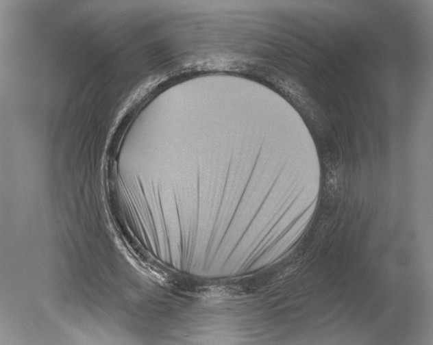 X0000078850678200612111622