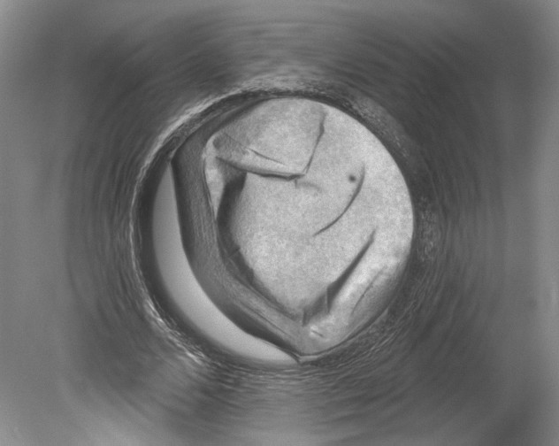 X0000078850680200612111622