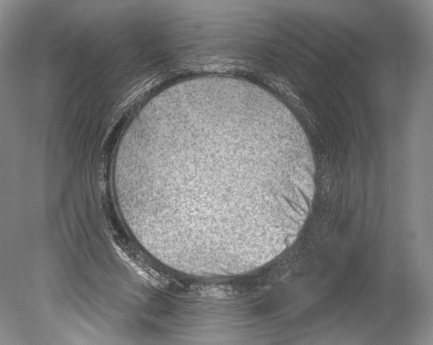 X0000078850683200612111622