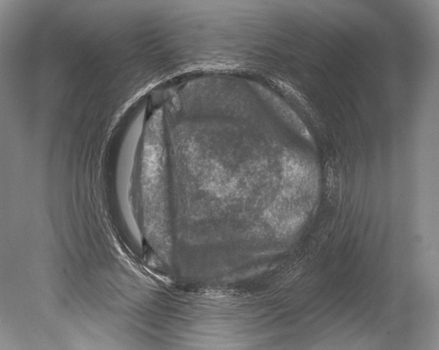 X0000078850684200612111622