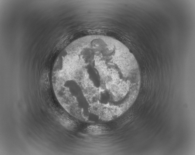 X0000078850699200612111622