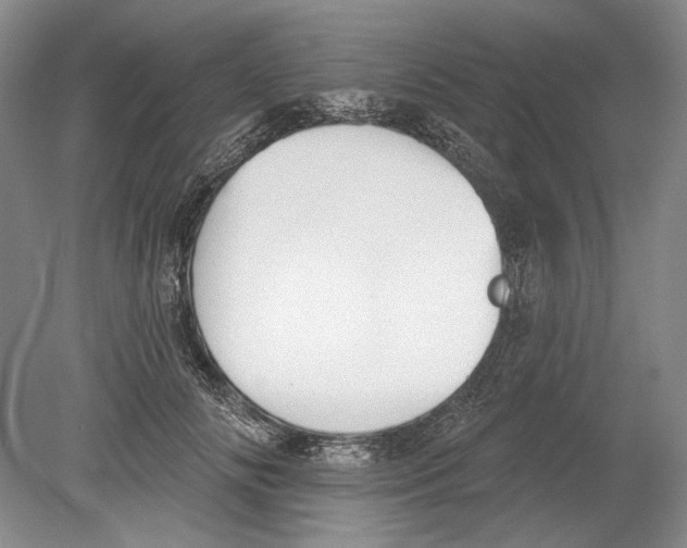 X0000078850702200612111622