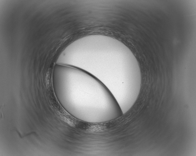 X0000078850708200612111622
