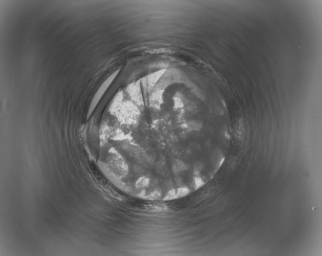 X0000078850715200612111621