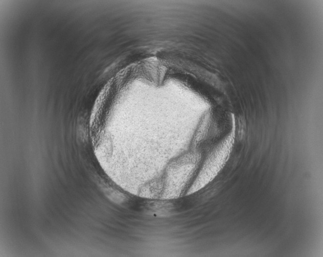 X0000078850719200612111621