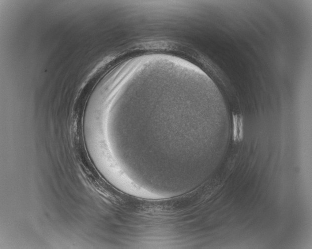 X0000078850723200612111621