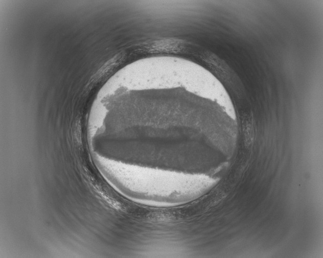 X0000078850729200612111621