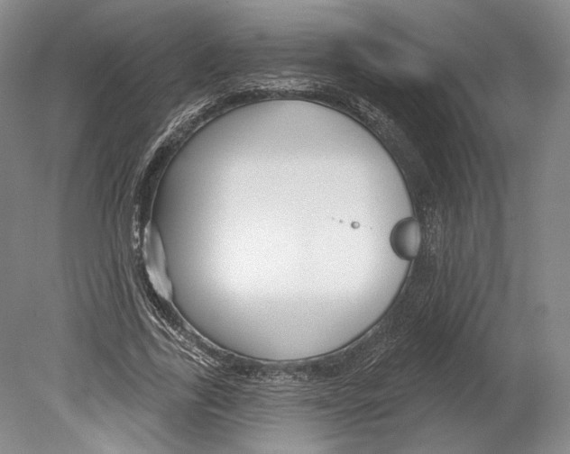 X0000078850731200612111621
