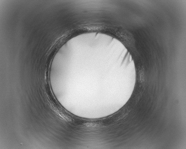 X0000078850733200612111621