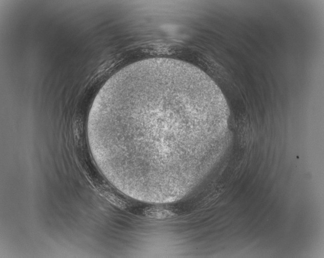 X0000078850747200612111621