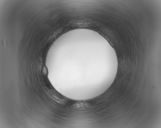 X0000078850752200612111621