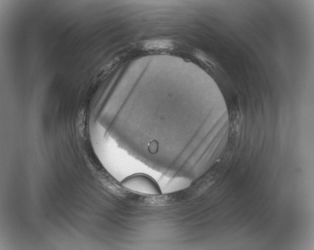 X0000078850767200612111621