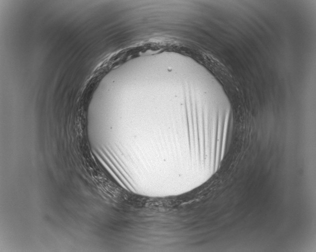 X0000078850776200612111620